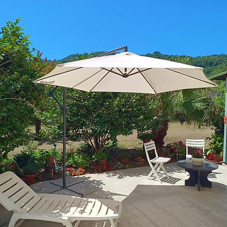 Sunny House Villa Carasco Kültér fotó